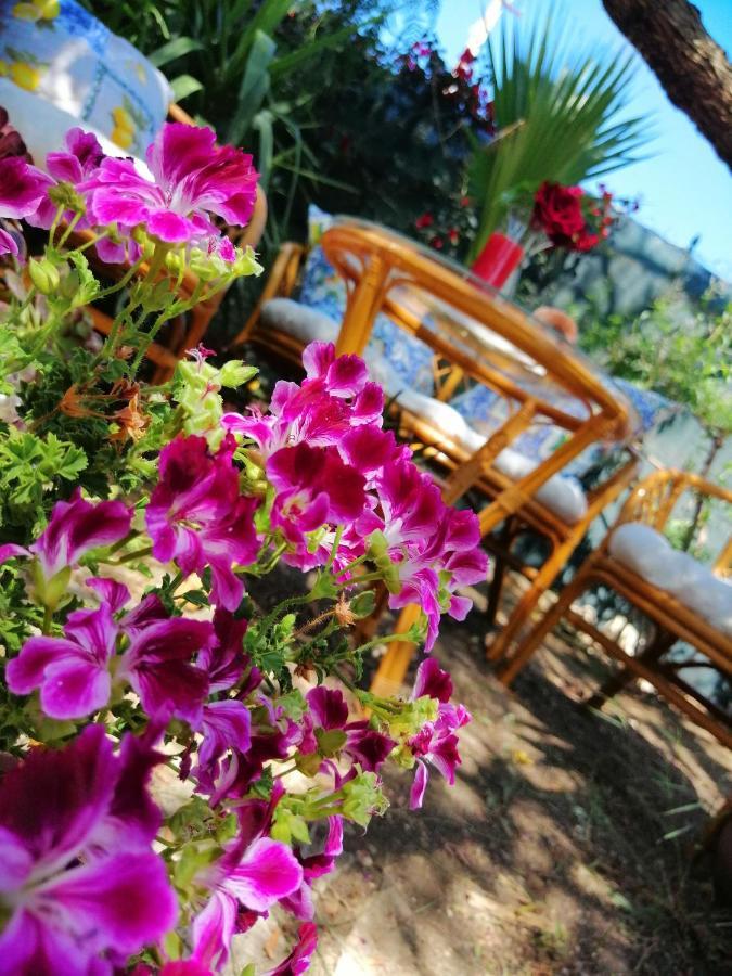 ポルト・エンペードクレ Lumie Di Sicilia Bed & Breakfast エクステリア 写真